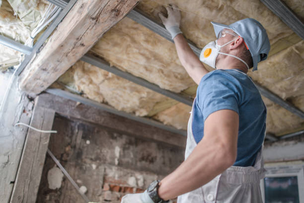 Professional Insulation Contractor in Elko, NV
